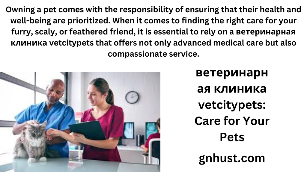 ветеринарная клиника vetcitypets: Care for Your Pets